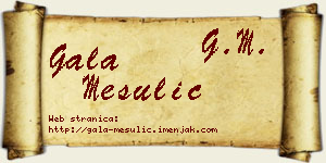 Gala Mesulić vizit kartica